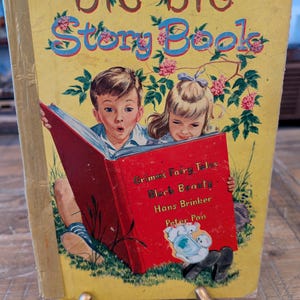 May include: A yellow book with the title "Big Big Story Book" on the cover. The book features a red book with the titles "Grimm's Fairy Tales", "Black Beauty", "Hans Brinker", and "Peter Pan" on the cover. Two children are reading the book.