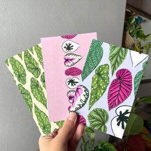 Set 3 Cartoline Botaniche Begonie