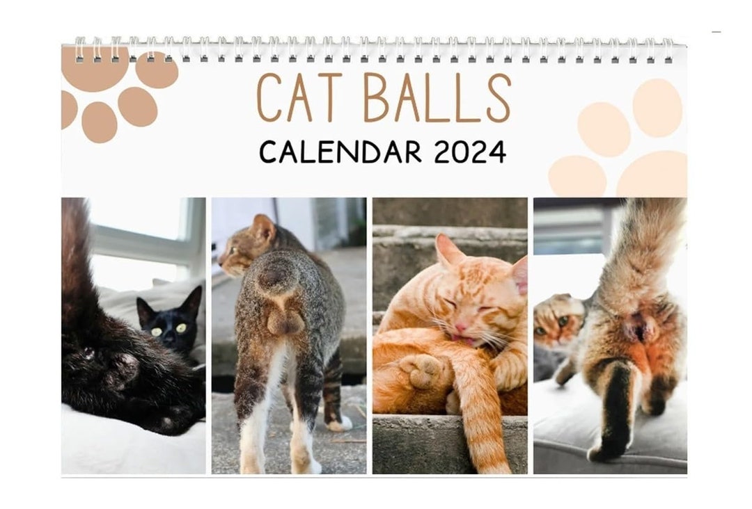 Funny Cat Calendar 2024cat Balls Calendar 2024 New Funny Cat Etsy