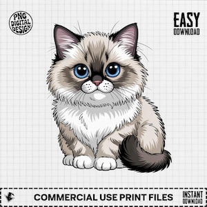 Ragdoll Cat Clipart, Cute Cat Clipart, Baby Animal Clipart, Nursery Clipart, Cat Lover Gift, Cat Png, Kitten Illustration