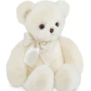 Teddy Memory Keepsake Plush Gift Set