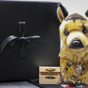 Deluxe Dog Memory Keepsake Plush Gift Set