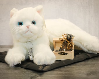 Deluxe Cat Memory Keepsake Plush Gift Set