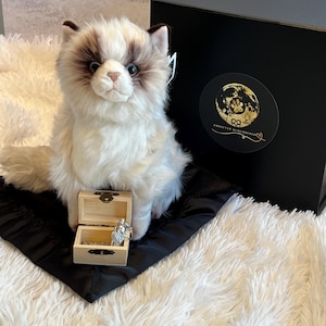 Cat Memory Keepsake Plush Gift Set