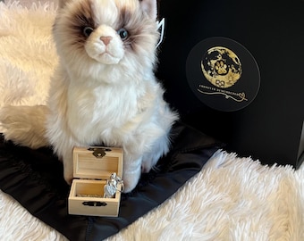 Cat Memory Keepsake Plush Gift Set