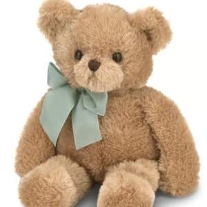 Deluxe Teddy Memory Keepsake Plush Gift Set