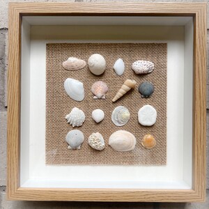 May include: A framed display of various seashells, arranged on a burlap background. The shells vary in size, shape, and color, including white, tan, and pink hues. The frame is made of light-colored wood, creating a coastal theme.