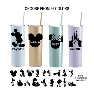 Disney Themed 20 oz Stainless Steel Tumbler with Straw