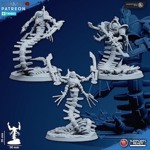 Undying - Vault Wraiths