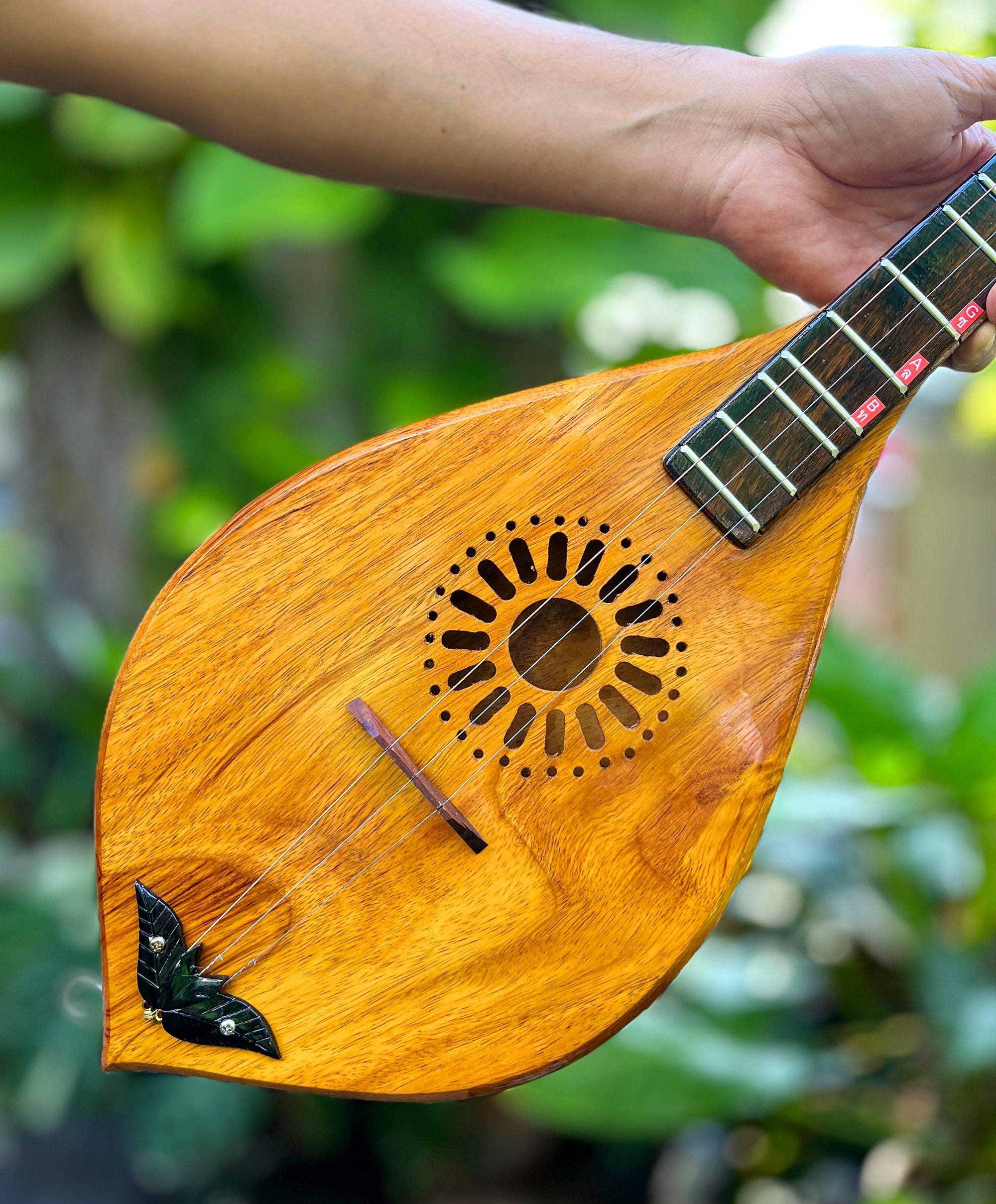 Acoustic Traditional Thai Phin (isan Lute) – 3-string Handmade Wooden ...
