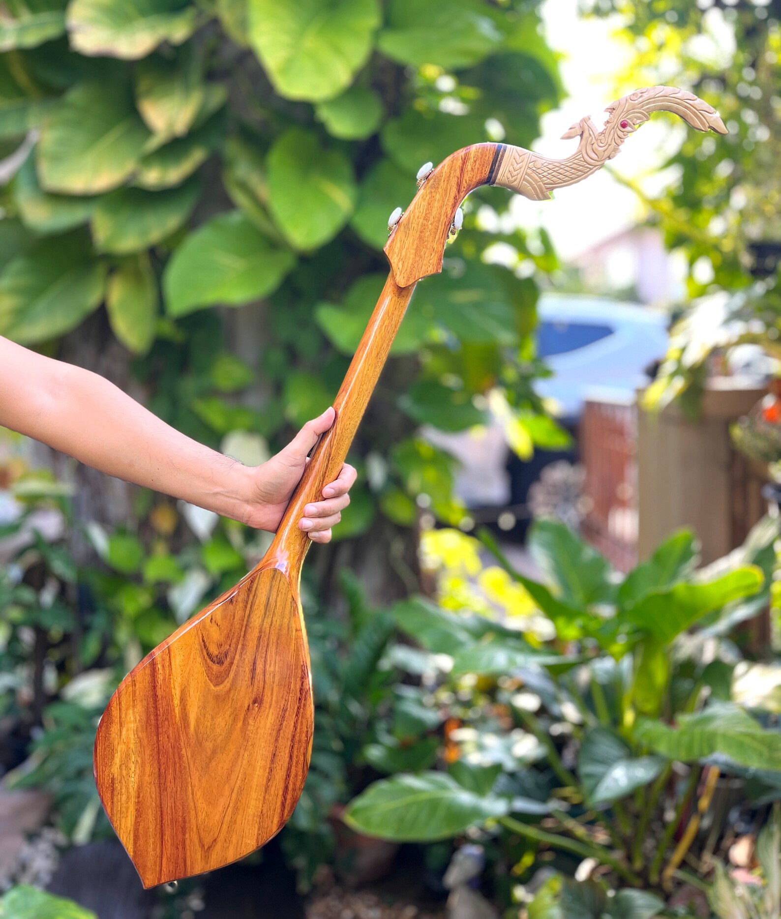 Isan Instruments Acoustic Traditional Thai Phin (isan Lute) โ 3-string Handmade Wooden ...