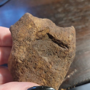 Paleolithic cutting tool