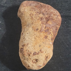 Paleolithic hammer tool