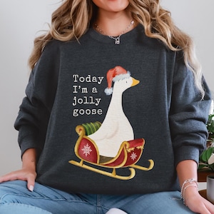 Funny Silly Goose Christmas sweater met ronde hals, kerstmuts slee nieuwigheid shirt, vakantiecadeau trui, winter humor top, comfortabele, gezellige trui