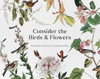Consider the Birds & Flowers Printable Wall Art, 12-Pack Bundle, Vintage, Bible Verse Art, Homeschooling, Gallery Wall, Collage