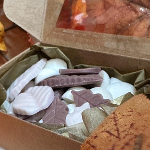 Sweater Weather Wax Melts