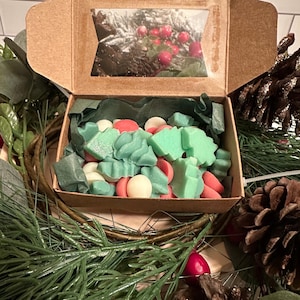 Winterberry Forest Wax Melts