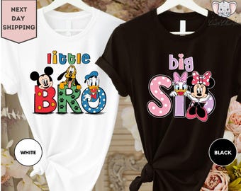 Disney Big Bro Little Sis Shirt, Mickey and Friends Shirt, Disney Family Matching Shirt, Disneyland Family Vacation Shirt