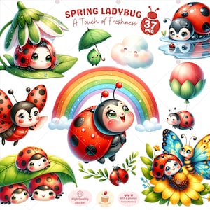Imágenes prediseñadas de mariquita de primavera, imágenes prediseñadas de insecto lindo, imágenes prediseñadas de mariquita, imágenes prediseñadas de vida de insecto, imágenes prediseñadas de naturaleza para niños, imágenes prediseñadas de animales de primavera, imágenes prediseñadas rojas, decoración de guardería, uso comercial