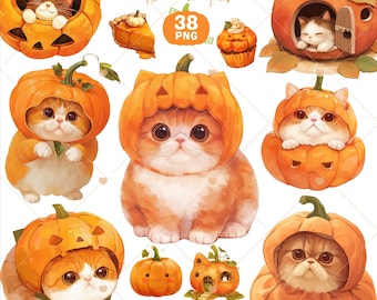 Pumpkin Cat Clipart, Cute Cat png, Halloween Cat Clipart, Exotic Shorthair Cat, Autumn png, Pumpkin clipart, Cat Lover Gift, Commercial Use