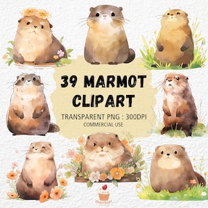 Clipart di marmotta, acquerello di marmotta PNG, trasparente 300 DPI, fauna selvatica, clipart di animali carini, creazione di biglietti, download digitale, uso commerciale