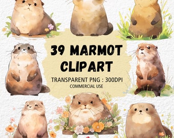 Marmot Clipart, Groundhog Watercolor PNG, Transparent 300 DPI, Wildlife, Cute Animal Clipart, Card Making, Digital Download, Commercial Use