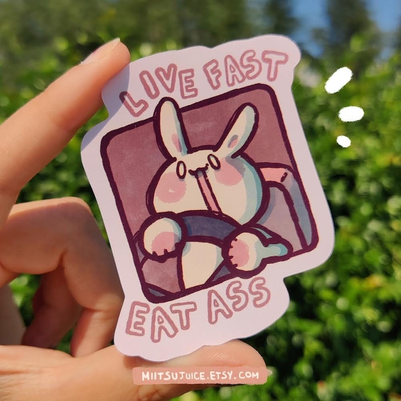 Live Fast Stickers Set - Set of 3 Cute Kawaii Animal Stickers, Gift ...