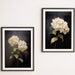 see more listings in the Wall Art | Flowers section