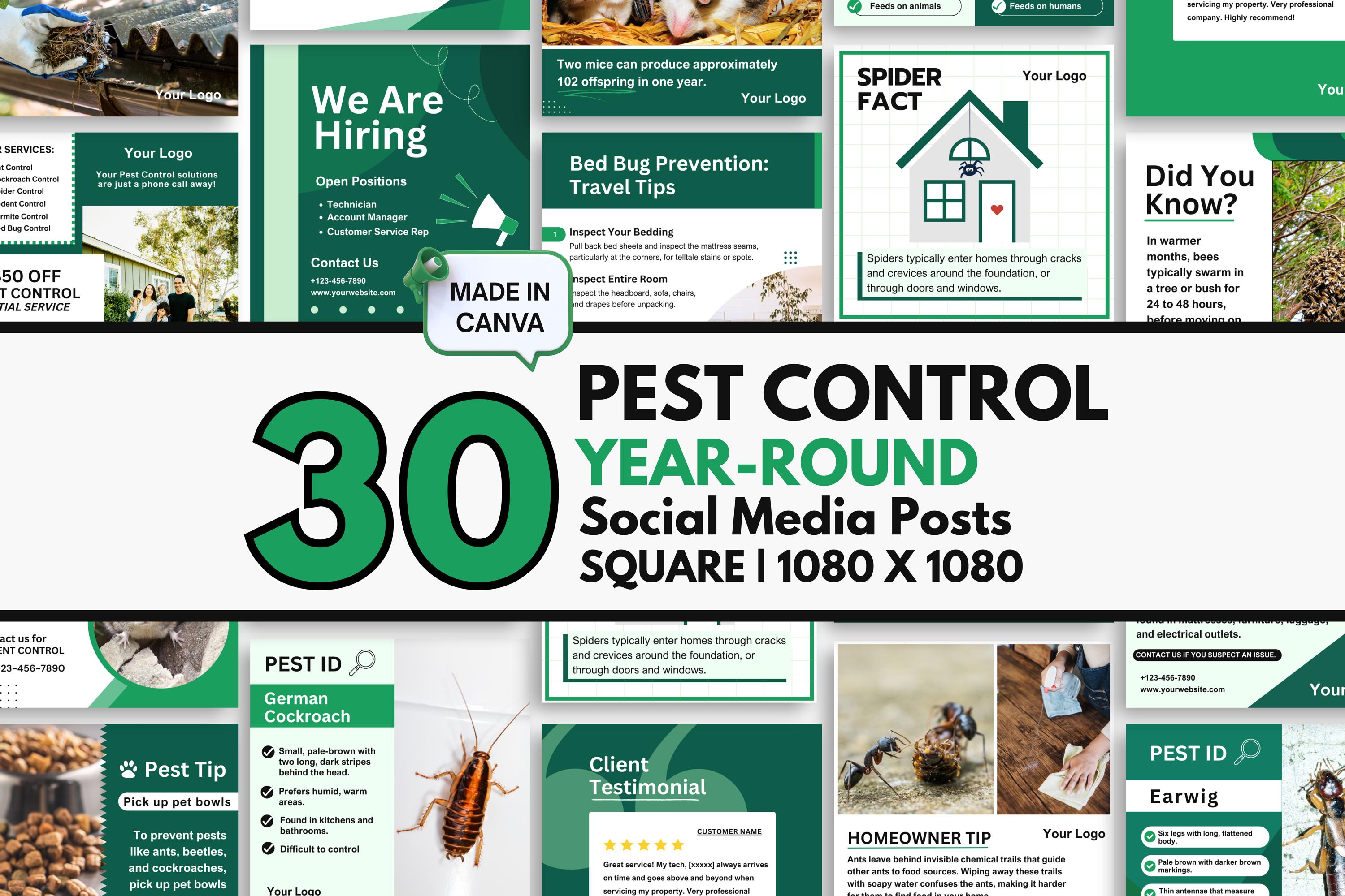 30 Pest Control Year-Round Social Media Posts, Canva Templates for Pest Pros, Square Size 1080 x 1080, Green and Black, Instant Download