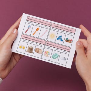 Puede incluir: Una tarjeta blanca con ilustraciones educativas y texto, sostenida por manos. La tarjeta presenta categor&iacute;as como "&iquest;Qu&eacute; necesitas para cepillarte los dientes?" y "&iquest;Qu&eacute; necesitan las plantas para crecer?" con im&aacute;genes correspondientes.