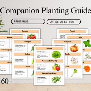 Guía imprimible de plantas acompañantes, tarjetas de emparejamiento de plantas, planificador de jardín, cuadro de acompañamiento de huerto, organizador de jardín, planificación de jardín