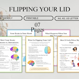 Flipping Your Lid Brain Emotional Awareness Resource, Counseling Handout, Stress Management Tool, Emotional Regulation PDF Printable