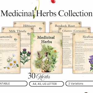 Colección de hierbas medicinales imprimible / Páginas de boticario herbario / Guía de medicina vegetal / Arte mural botánico / 2 variantes