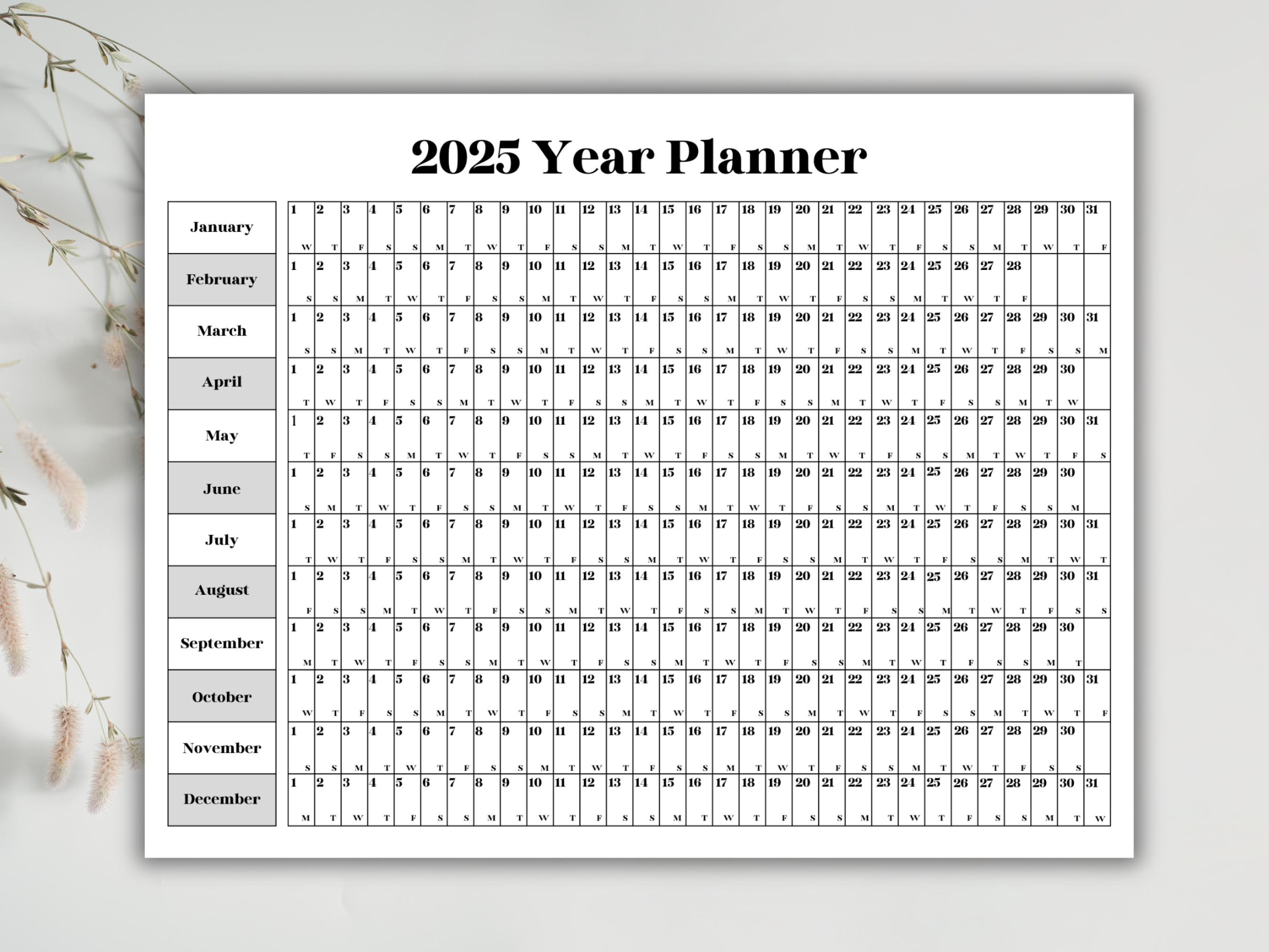 2025 Printable Yearly Planner | Digital Calendar Poster | Year at a