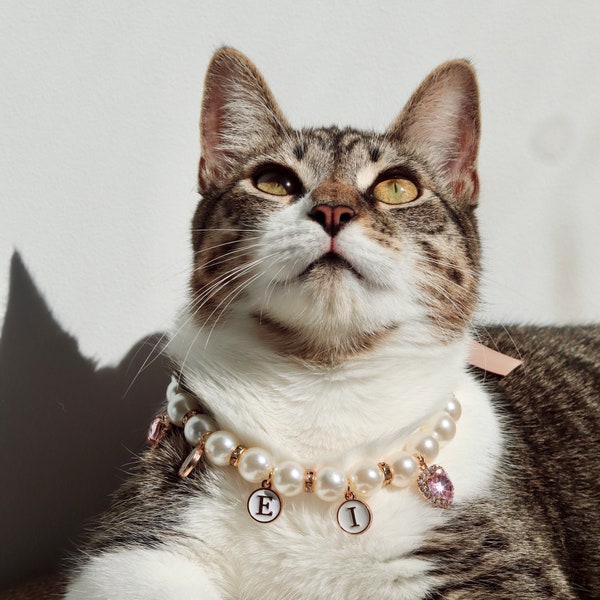 Fancy Cat Collar - Etsy