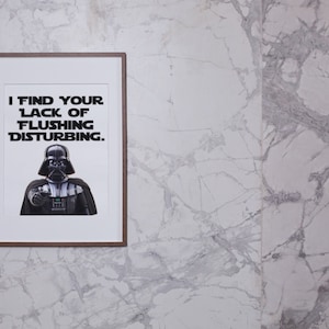 May include: A framed print with a black and white image of Darth Vader from Star Wars. The text on the print reads "I find your lack of flushing disturbing."