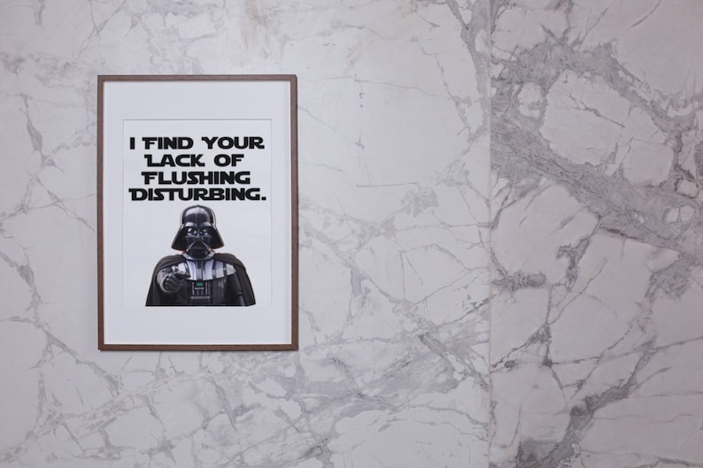 May include: A framed print with a black and white image of Darth Vader from Star Wars. The text on the print reads "I find your lack of flushing disturbing."
