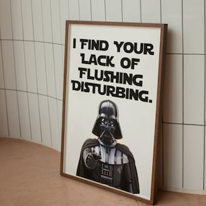 May include: A framed print featuring Darth Vader from Star Wars, with the text "I find your lack of flushing disturbing."