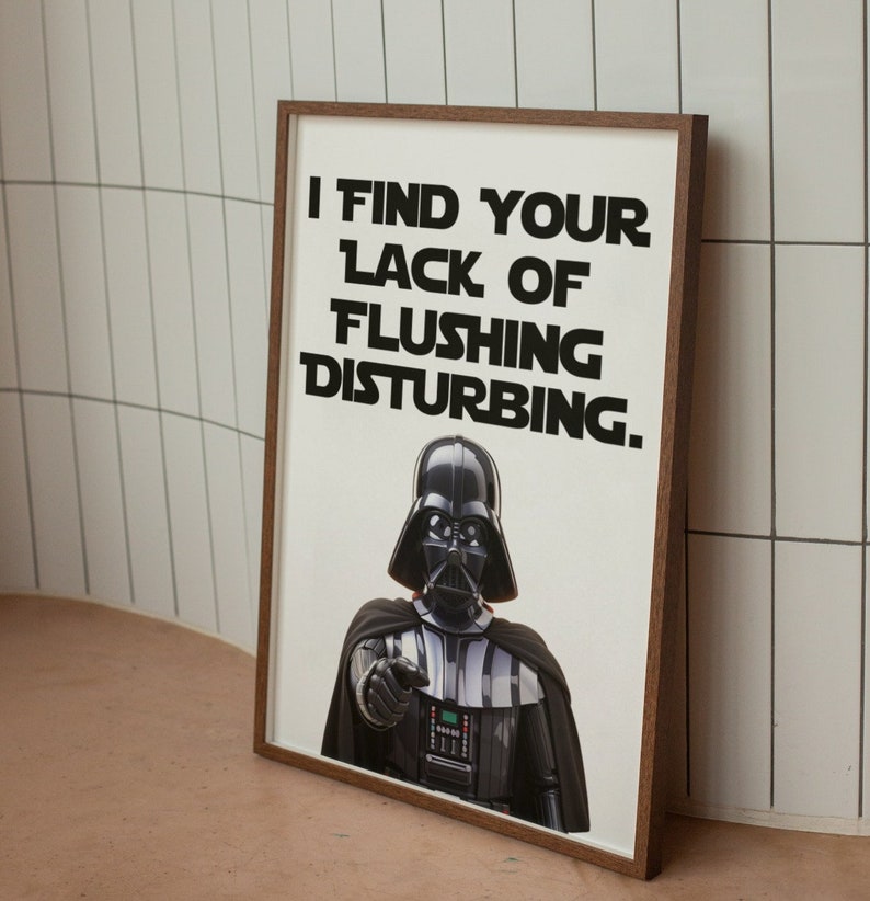 May include: A framed print featuring Darth Vader from Star Wars, with the text "I find your lack of flushing disturbing."