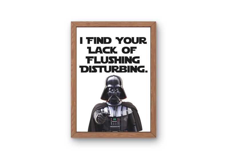 May include: A framed print featuring Darth Vader from Star Wars, pointing his finger and saying "I find your lack of flushing disturbing."