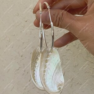 Può includere: Orecchini a cerchio in argento con pendenti a conchiglia di abalone iridescente. Gli orecchini hanno una superficie lucida e una lucentezza naturale e perlacea. Le conchiglie di abalone sono di forma ovale e mostrano una gamma di colori.