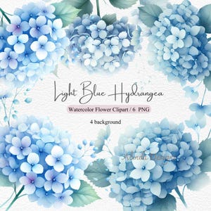 Clipart Aquarelle hortensia bleu clair, illustrations florales, faire-part de mariage, cartes postales, scrapbooking, projets de bricolage, pour la décoration de la maison