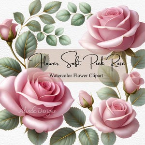 Weiche rosa Rose Aquarell Clipart, elegantes Blumenmuster, 300 dpi PNGs für Hochzeiten, Einladungen & Kunsthandwerk, Scrapbooking