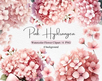 Watercolor Pink Hydrangea Clipart: Floral Illustrations (PNG, PDF)