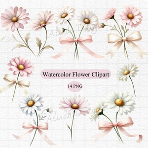 Charming Pink and White Daisy Clipart, Watercolor Floral Designs for Wedding Invites, Baby Shower Decor, and Crafts, Floral Illustrations