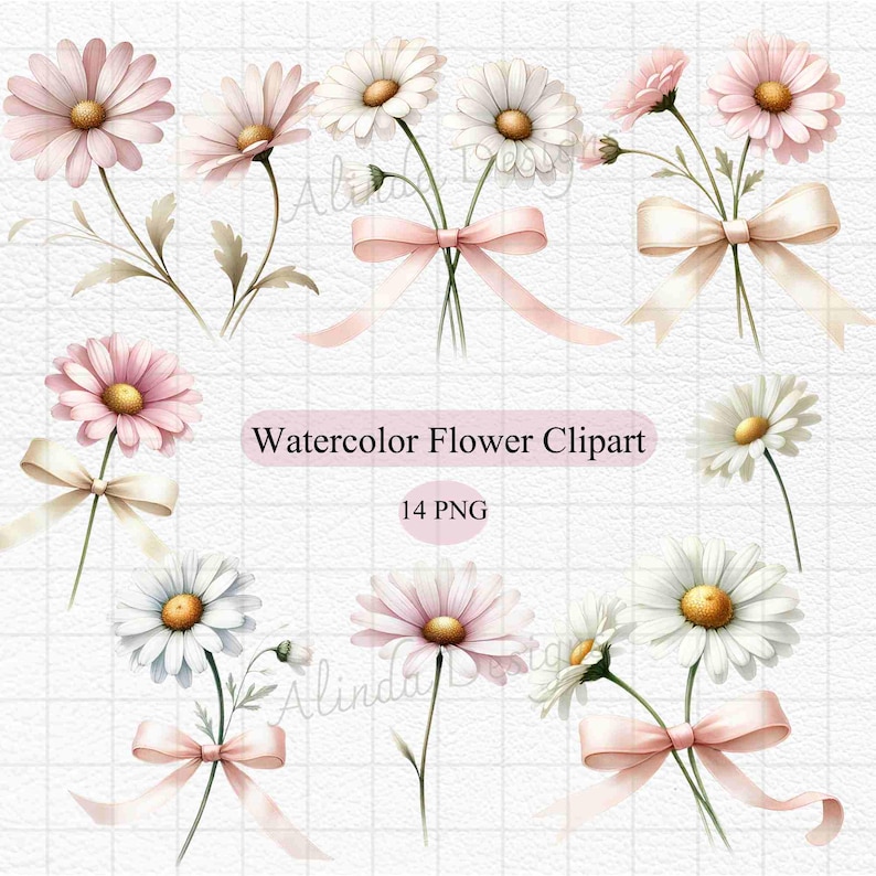 Charming Pink and White Daisy Clipart, Watercolor Floral Designs for Wedding Invites, Baby Shower Decor, and Crafts, Floral Illustrations