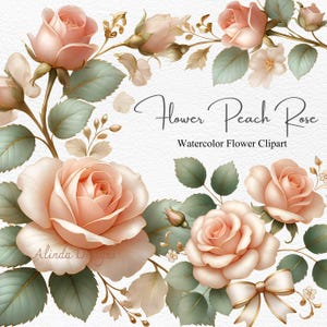Clipart de acuarela de rosa melocotón, diseño floral elegante, PNG de 300 DPI para bodas, invitaciones y manualidades
