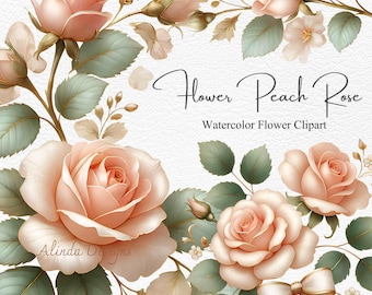 Peach Rose Watercolor Clipart, Elegant Floral Design, 300 DPI PNGs for Weddings, Invitations & Crafts
