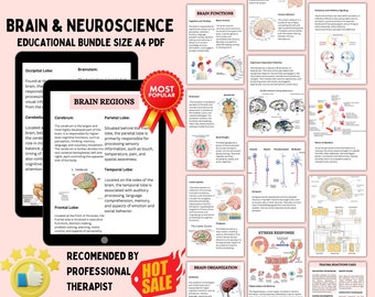 Brain and neuroscience therapy and education bundle: psychoeducation resource for therapists, psychologists and counsellors