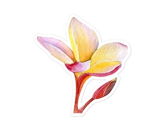 Pegatina impermeable de flores de plumeria